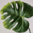 icon psychotherapieonline.at